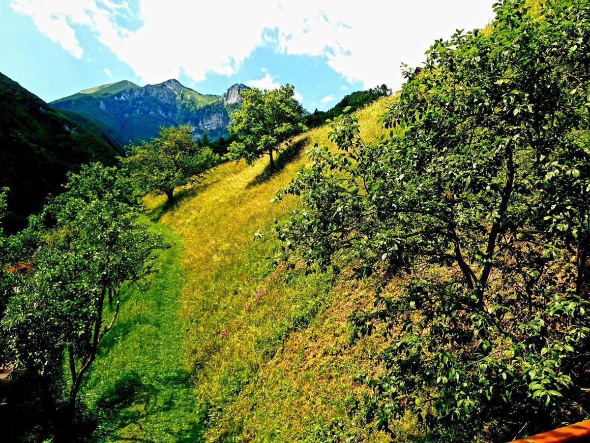 Podbrdo Apartment And Garden House Among The Mountains מראה חיצוני תמונה